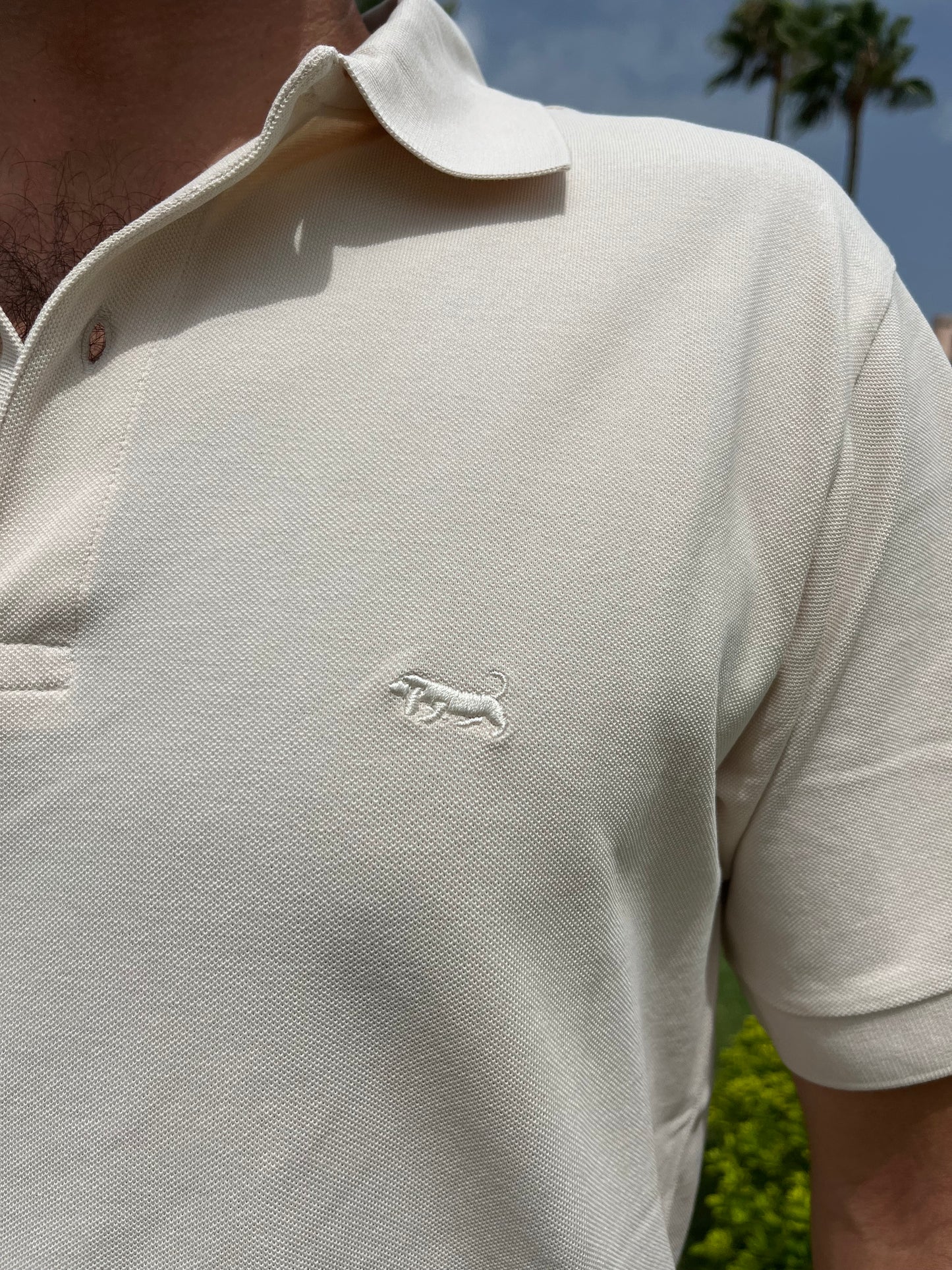Polo Basset