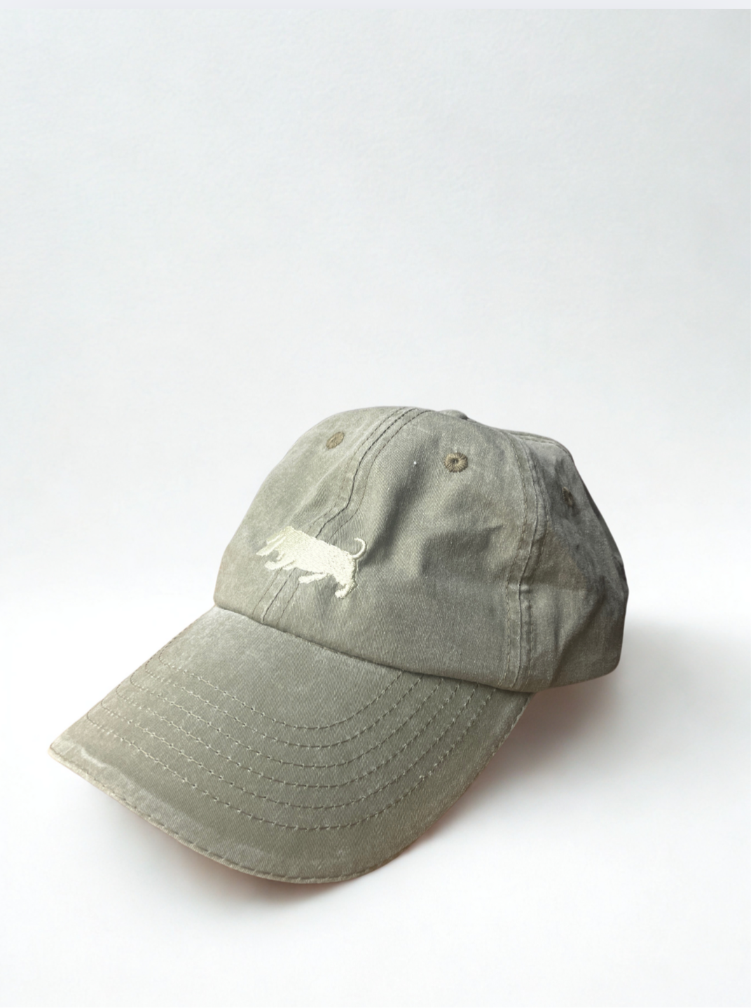 GORRA BASSET COTTON