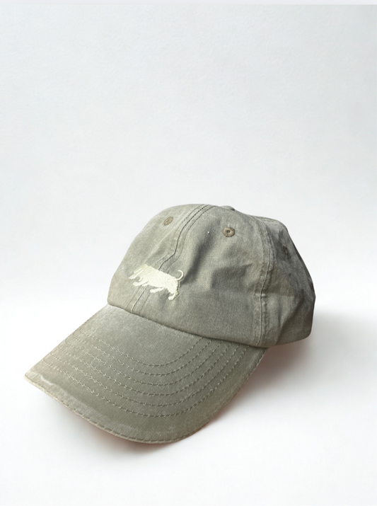 GORRA BASSET COTTON
